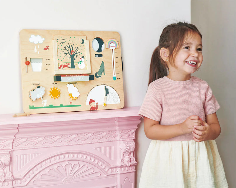 Tender Leaf  Toys | Wooden Weather Station