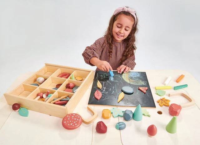 Tender Leaf  Toys| My Forest Floor Set