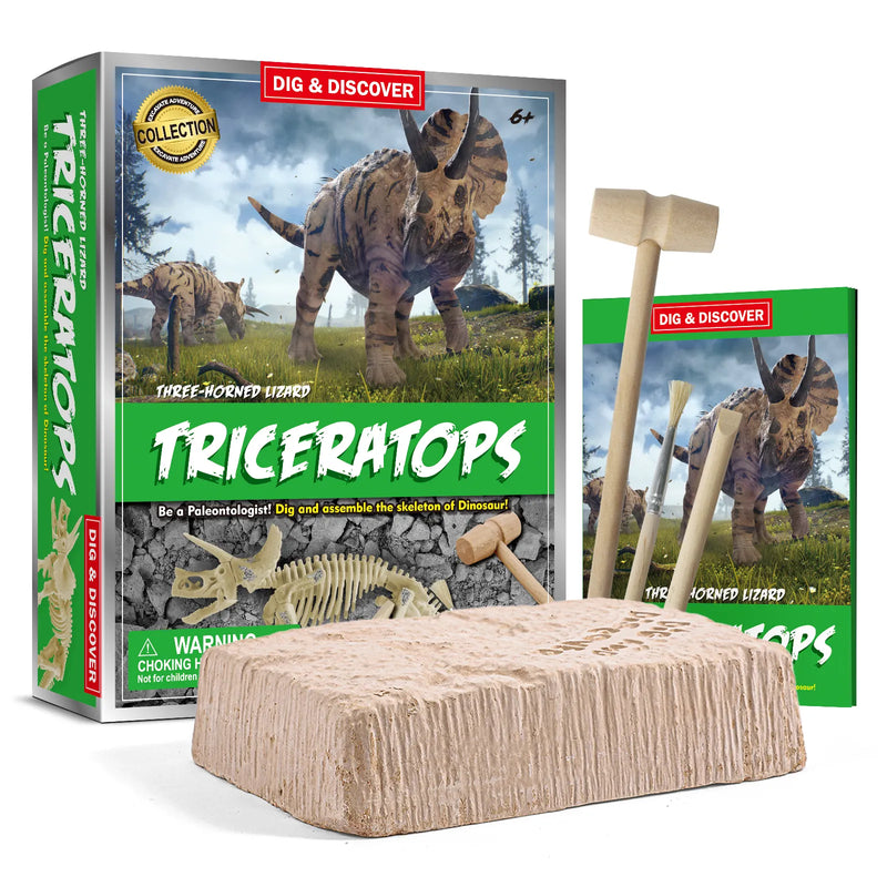 Three-horned Lizard Triceratops