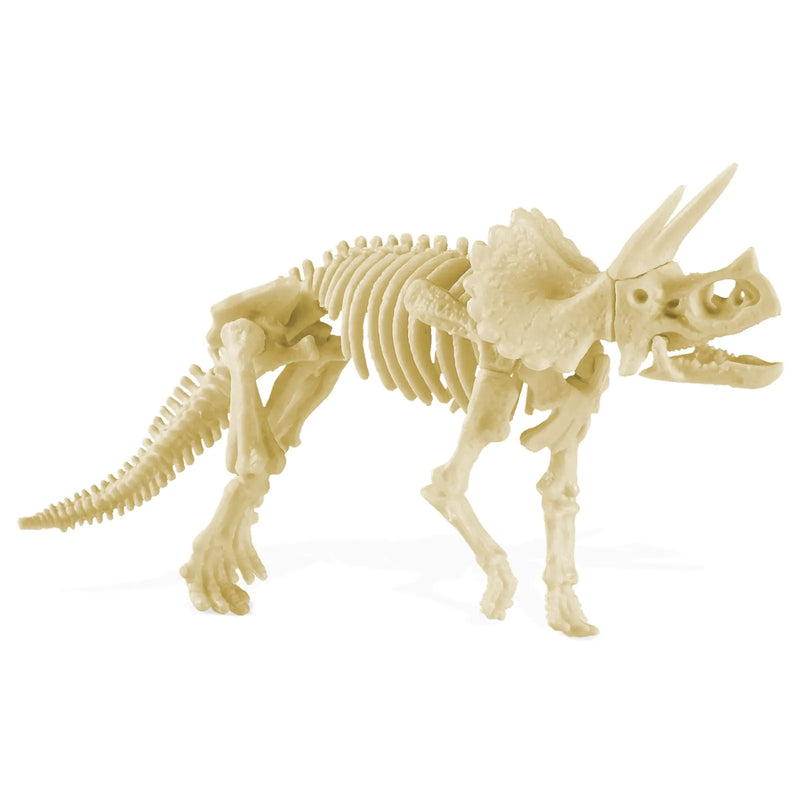 Three-horned Lizard Triceratops