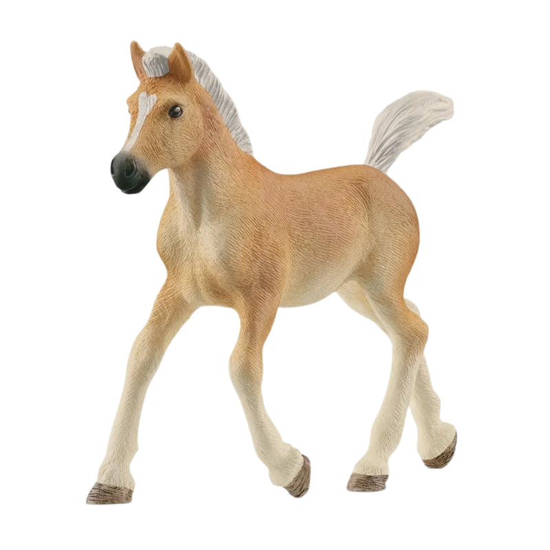 Schleich |  Haflinger Foal