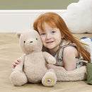 Disney Winnie the Pooh 100th Anniversary  Plush 22cm