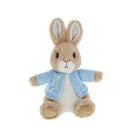 Beatrix Potter Peter Rabbit  Soft Toy 22cm