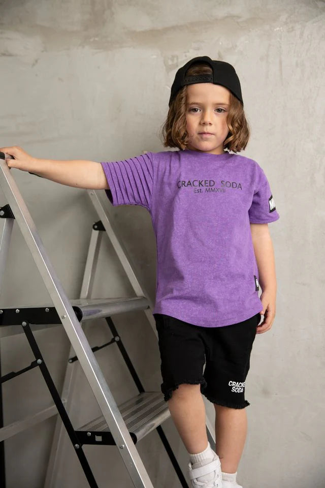 Cracked Soda | Lennox CS Mesh Tee 3-8yrs- Purple Wash