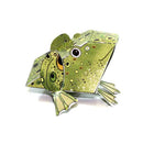 Alice Melvin's Cut-out and Make Menagerie of Animals