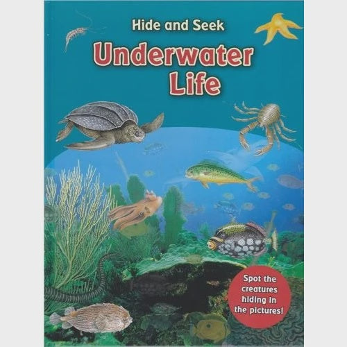 Hide and Seek Underwater Life