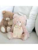 Demdaco My First Teddy Pink 24cm