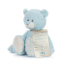 Demdaco My First Teddy Blue 24cm