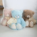 Demdaco My First Teddy Blue 24cm