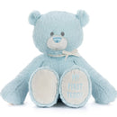 Demdaco My First Teddy Blue 24cm