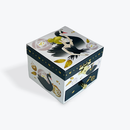 Black Swan Children's Musical Jewellery Box