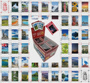 NZ Kiwi Flag with 54 Images Playing cards