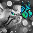 Diamond Painting Kits for Adults & Kids, 5D DIY B & W Kitten 20x20