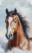 Diamon Art Picture - Horse SIZE:20*30