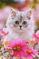 Diamond Painting Kits for Adults &  Kids, 5D DIY Cute Kitten Diamond Art