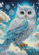 5D Diamond Art  Picture, size 30* 40cm Beauitul Blue Owl