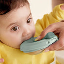 B.box Fill & Feed Assorted