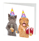 Birthday Dog/Cat  Card