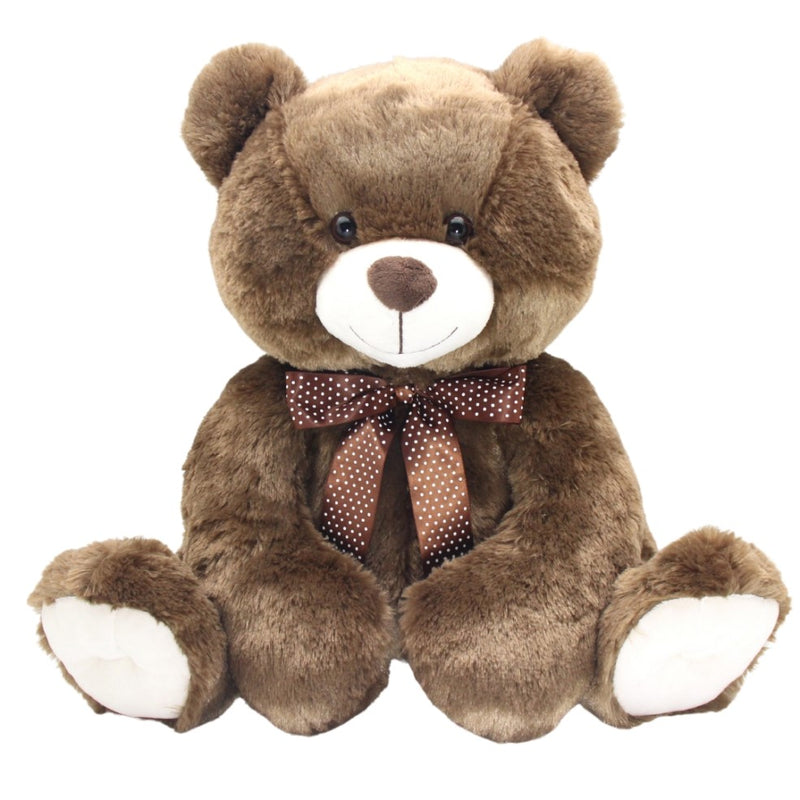 Sunny Bear 52cm - Asst RR$69.99