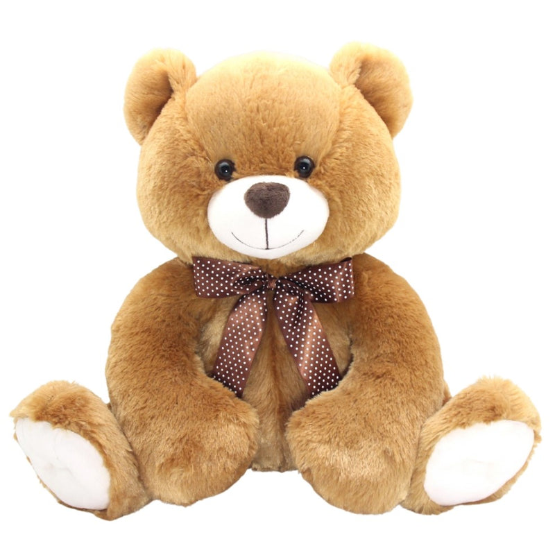 Sunny Bear 52cm - Asst RR$69.99