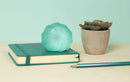 SPEKS | Gump Memory Stress, Surface Ball - sea
