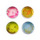 J'adore Crystal Clear Putty Slime