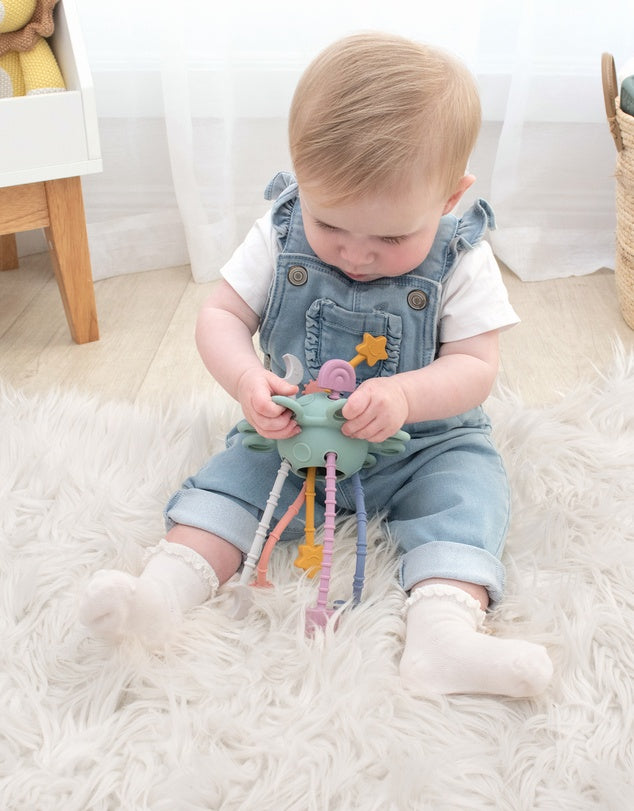 Pull String Interactive Toy - Dusty