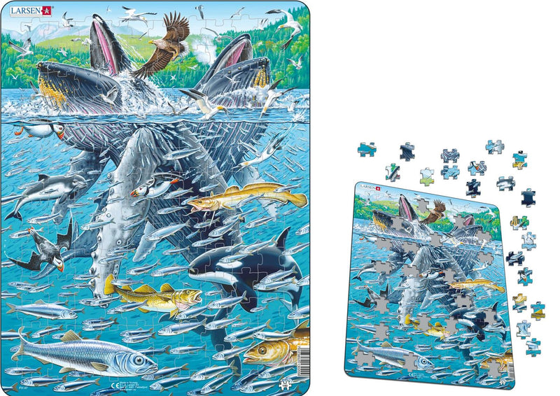 Larsen | Humpback Whales Puzzle