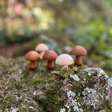 Qtoys Wooden Mushrooms - Natural