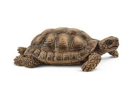 Schleich | Wildlife - Tortoise Home