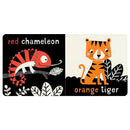 My First Colours Board Book