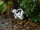 Watering Can Cow