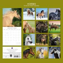 Horses Square Calendar 2026