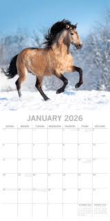 Horses Square Calendar 2026