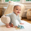 Ingenuity: Sheepys Suad Bio Toy Links