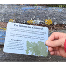 Kiwi Garden Treasure Hunt Cards