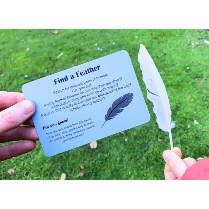 Kiwi Garden Treasure Hunt Cards