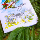 Rocker Wren - Greeting Card