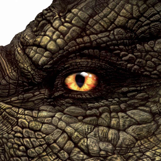 Natural History Museum Dinosaur Picture Viewer