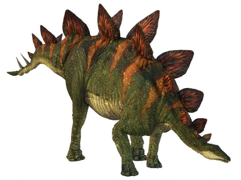 Natural History Museum Dinosaur Picture Viewer