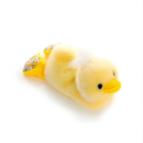 Mad Ally | Blossom Buddies Chicken
