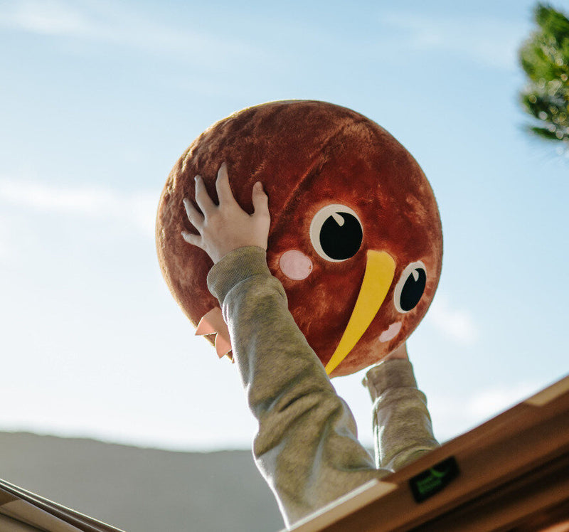 Moana Rd | Medium Inflatable Plush Ball - Assorted