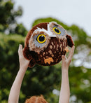 Moana Rd | Medium Inflatable Plush Ball - Assorted