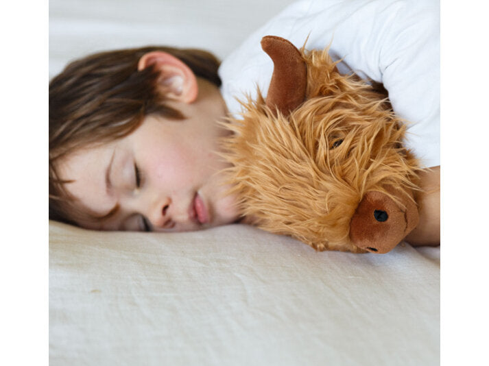 Hamish The Highland Cow Soft Toy