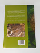 New Zealand's Kiwi