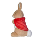 Flopsy Bunny Classic Plush 25cm
