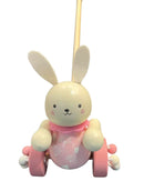 Toyslink | Wooden Bunny Push Along