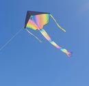 Rainbow Delta Kite