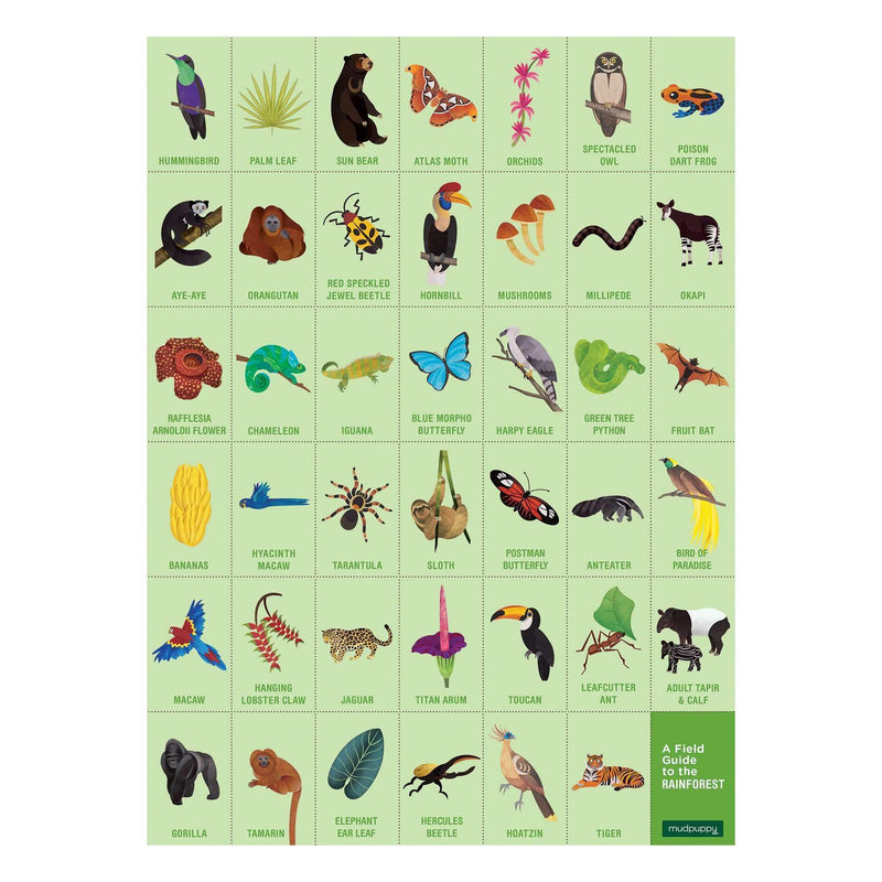 Mudpuppy | Search & Find - Rainforest 64 Piece Puzzle