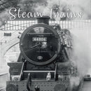 2026 Square Calendar Steam Trains RRP $21.99